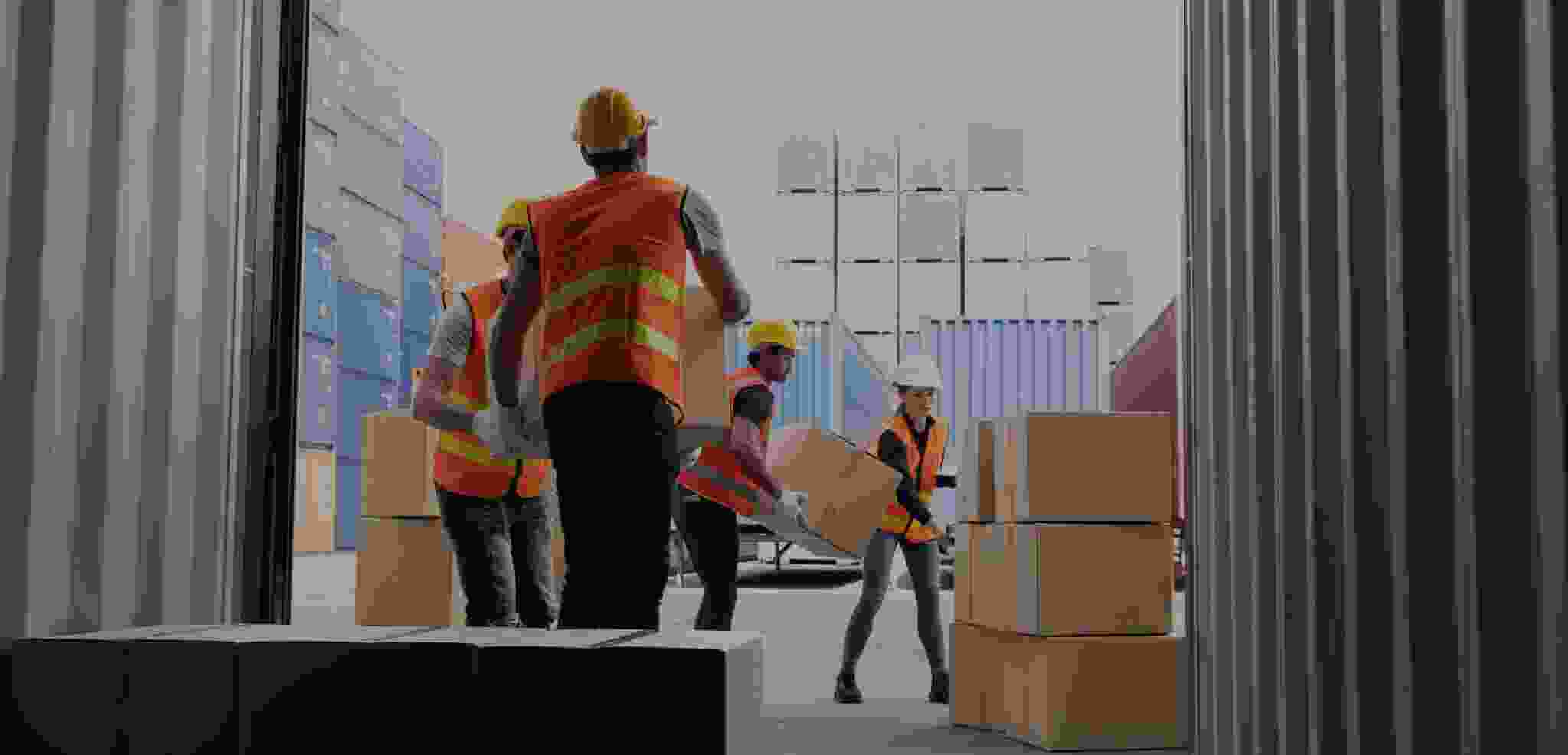 portfolio 07
